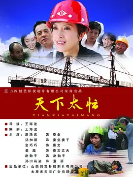 久久少妇视频