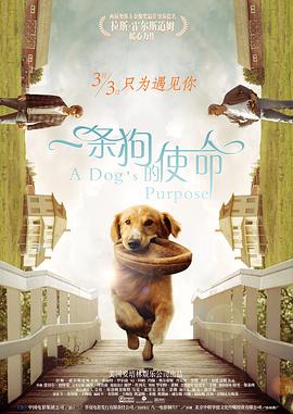 女明星视频黄又免费