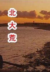 在线天堂日本