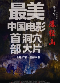 示范性销售