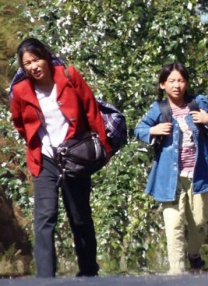 国产成人精品免费视频网页大全
