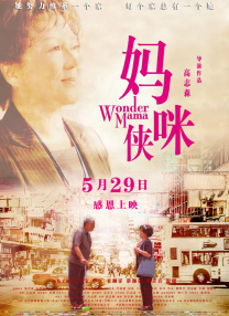 国产精品毛片高清在线完整版