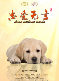 如何找到当地的字母圈